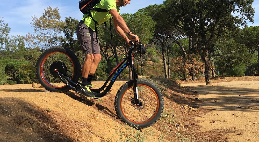 Le matériel Trottinette électrique tout terrain Globe3T